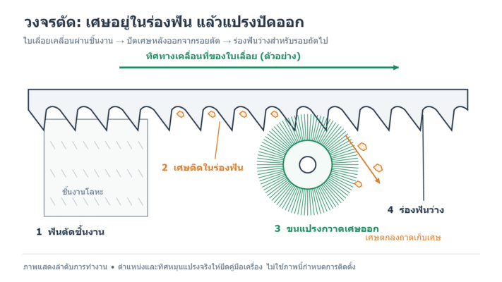 ภาพลายเส้นใบเลื่อยเคลื่อนผ่านชิ้นงาน เศษโลหะอยู่ในร่องฟันก่อนถึงแปรง และขนแปรงกวาดเศษออกให้ร่องฟันว่าง