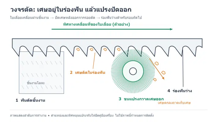 ภาพลายเส้นใบเลื่อยเคลื่อนผ่านชิ้นงาน เศษโลหะอยู่ในร่องฟันก่อนถึงแปรง และขนแปรงกวาดเศษออกให้ร่องฟันว่าง